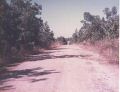 Further down Rte 1a.jpg